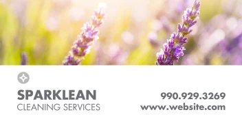 Spring Sparkle Cleaning