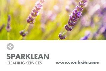 Spring Sparkle Cleaning