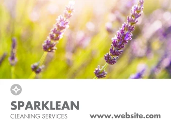 Spring Sparkle Cleaning