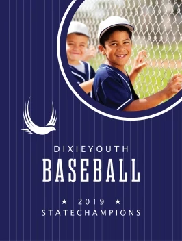 Baseball Youth