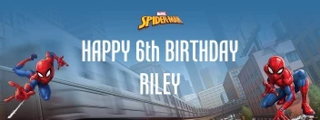 Spider-Man Webbed Wonder