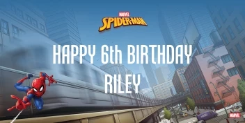 Spider-Man Webbed Wonder