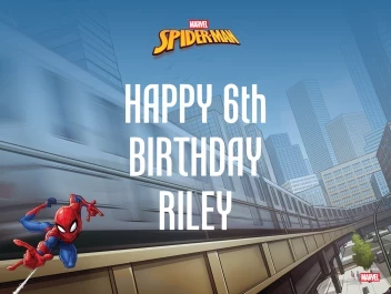 Spider-Man Webbed Wonder