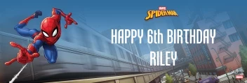 Spider-Man Webbed Wonder