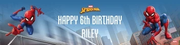 Spider-Man Webbed Wonder