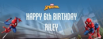Spider-Man Webbed Wonder