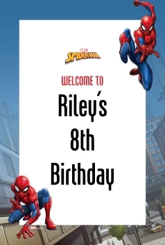 Spider-Man Webbed Wonder