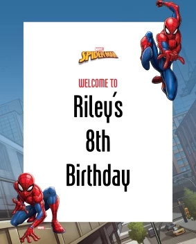 Spider-Man Webbed Wonder