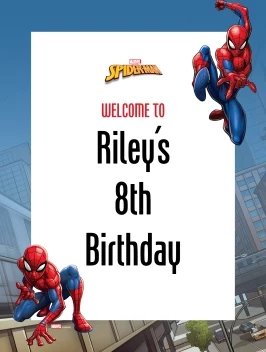 Spider-Man Webbed Wonder