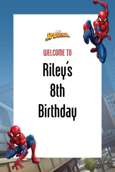 Spider-Man Webbed Wonder