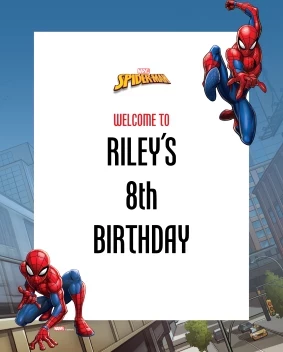 Spider-Man Webbed Wonder