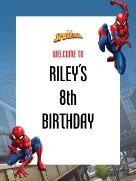 Spider-Man Webbed Wonder