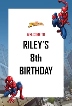 Spider-Man Webbed Wonder