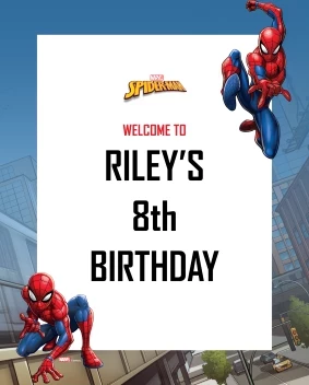 Spider-Man Webbed Wonder