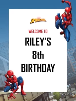 Spider-Man Webbed Wonder