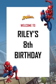 Spider-Man Webbed Wonder