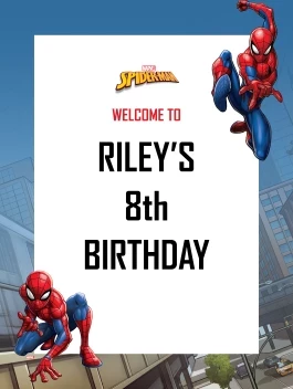 Spider-Man Webbed Wonder