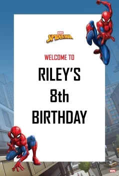 Spider-Man Webbed Wonder