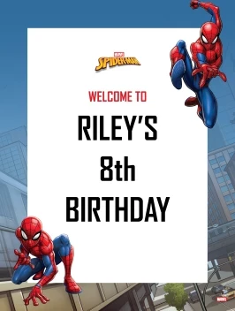 Spider-Man Webbed Wonder