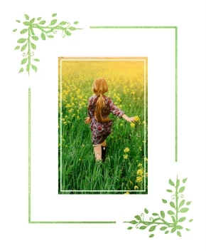 Gradient Leaves Border