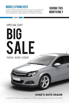 Big Car Sale