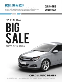 Big Car Sale