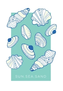Seashells