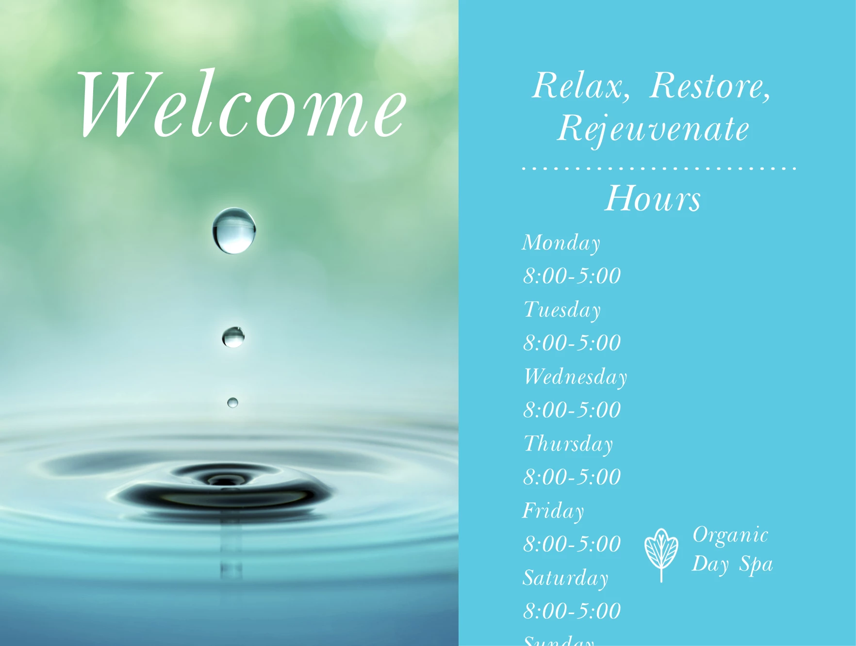 Organic Day Spa
