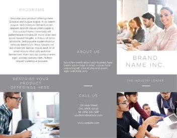 Professional Gray Line