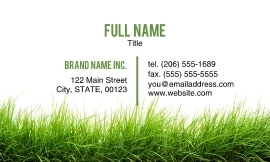 Grass Border